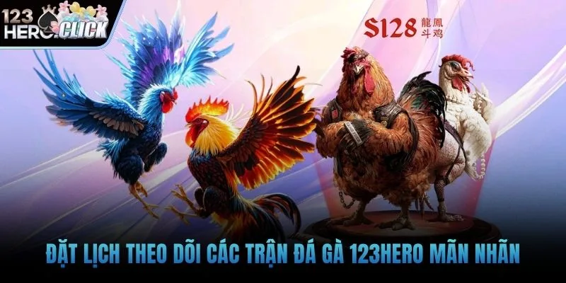 Đặt lịch theo dõi các trận đá gà 123hero mãn nhãn