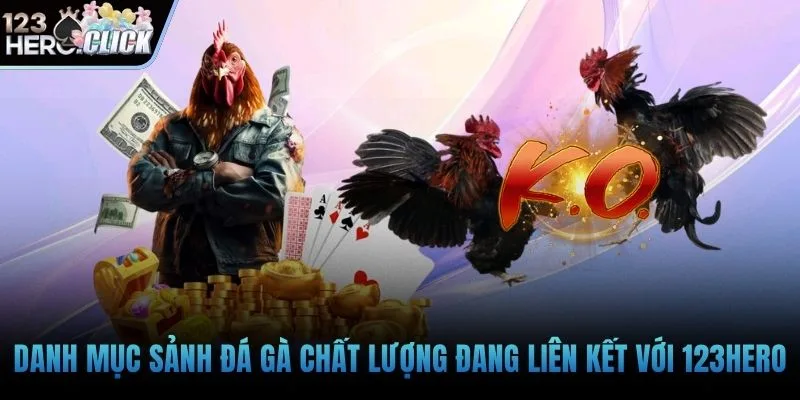 Danh mục sảnh đá gà chất lượng đang liên kết với 123hero